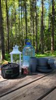 Tree tents Camping - Bed and Breakfast Matuļi