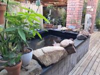 Villa Mariss Guesthouse - Bed and Breakfast Kraaifontein