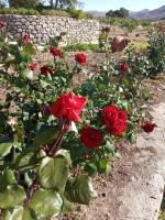 dilemi 3 - Chambres d’hôtes Ánydro