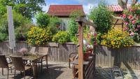 Küstenblüte - B&B Steffenshagen