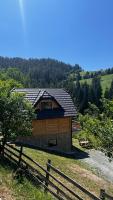 Planinska koliba Dada - B&B Popovići