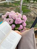 Deon`s Garden - B&B Blerimas