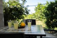 Villa Fontana - B&B Boscarello