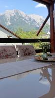 Vila Iulia Busteni - Ferienwohnung Buşteni