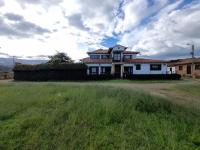 The olive tree - B&B Villa de Leyva