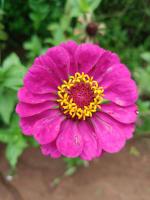 Pousadinha RoSi. - B&B Águas de Santa Bárbara