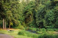Creekside Retreat at Triangle Lake - Bed and Breakfast Blachly