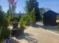 Villa Varden 10 min from Bergen sentrum - Ferienwohnung Bergen