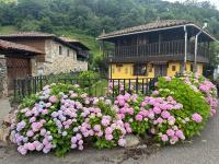 Finca del Hórreo - Chambres d’hôtes San Martín de Lodón