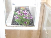 Martin House & Granada - B&B Granada