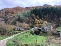 Appartamento Ponte Nuovo Premilcuore - Ferienwohnung Premilcuore