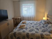 Appartamento con 1 Camera da Letto