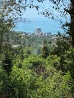 Habitación Individual Deluxe