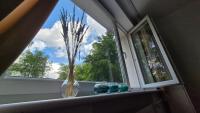 Let Me Sea FoRest - B&B Danzica