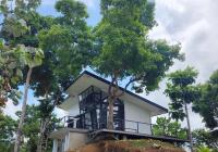 Muddy South Mountain Retreat - Bed and Breakfast Libho