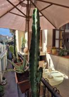 Le Cosy Antibois - Proche Marché Provençal - B&B Antibes