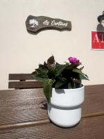 A de Lema, apartamento rural en As Cortiñas - Ferienwohnung Coens