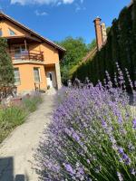 Pensiunea Cold Mountains - B&B Râşnov