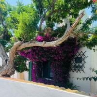 Villa Palma - B&B San Lino