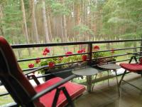 Pušynas prie jūros - B&B