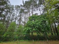 Vacances au bassin d'Arcachon - Ferienwohnung Gujan-Mestras
