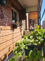 Cozy Vibes Apartment Tucumán - Bed and Breakfast San Miguel de Tucumán