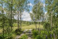 Minimalist Cabin With Forest Views In Arvika - Chambres d'hôtes Arvika
