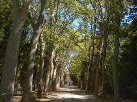 Chateau Pech-Céleyran - Ferienwohnung Salles-d'Aude