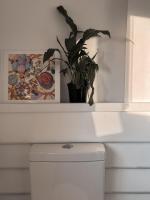 Salt & Sonder - B&B Weldborough