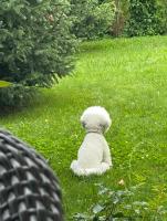 Lucky's House - Chambres d’hôtes Cholpon-Ata