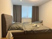 Appartement 1 Chambre avec Jardin