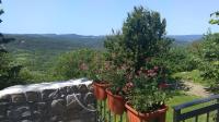 Apartment Pud Oreh - B&B