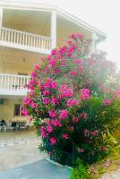 Mon - B&B Antivari