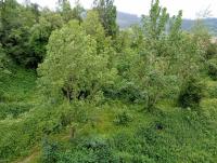 reservaserfisosmar - B&B Oviedo