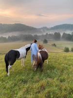 Happy Horse Sosnowa Góra - Bed and Breakfast Przetoczyno