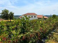 Casa Mato - Ferienwohnung Monforte de Lemos