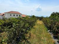 Casa Mato - Bed and Breakfast Monforte de Lemos