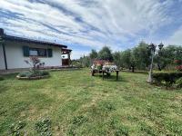 La Pace del Brolo dello Agnellino - B&B Paitone