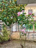 Villa Madonnina in riva al fiume Tirino Intera struttura - B&B Bussi sul Tirino