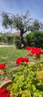 La Fattoria dei Desideri - B&B