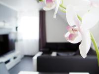 La Domus Premium Osnabrück Lotte - B&B Lotte