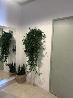 The mint - B&B Politiká