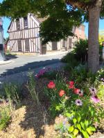 La tanière des ours - B&B Chaumont-sur-Tharonne