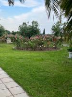 Traditional Bungalows - B&B