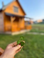 Omega Žabljak - Chambres d’hôtes Žabljak