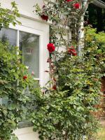 Das Garden House - Hohensee Erdgeschoss - B&B
