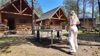 Chatki na Kaszubach - B&B Borsk