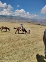 Hors - B&B Hors