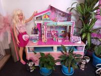 Princess&Prince Apartment with swimming pool and garden - B&B Fiume
