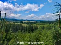 APARTAMENTY & DOMKI Chełmsko Śląskie - B&B Chełmsko Śląskie